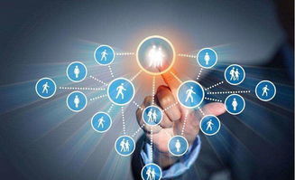 为何越来越多的人做京东新型店群项目,与传统模式相比有什么优势